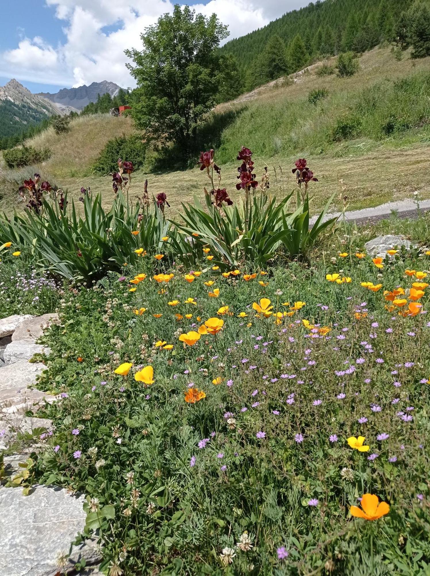 Appartement Chalet Hameau De Souliers - Queyras Chateau-Ville-Vieille ภายนอก รูปภาพ
